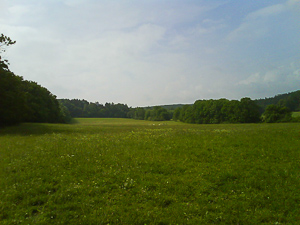 One of 150 grassland sites of the Biodiversity Exploratories