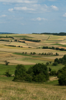 Isolated calcareous grassland in agricultural landscape