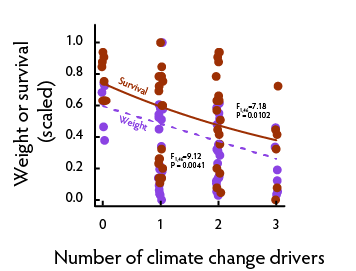 Number of climate change drivers and herbivore performance