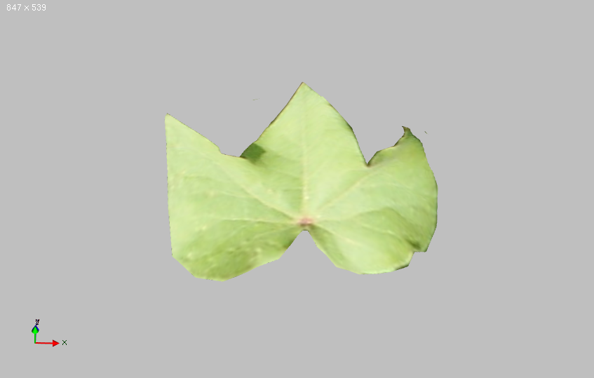 Leaf Height Field Model