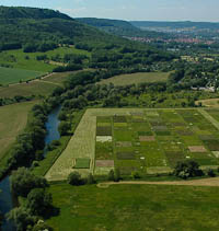Jena Experiment Aerial Photograph 2006
